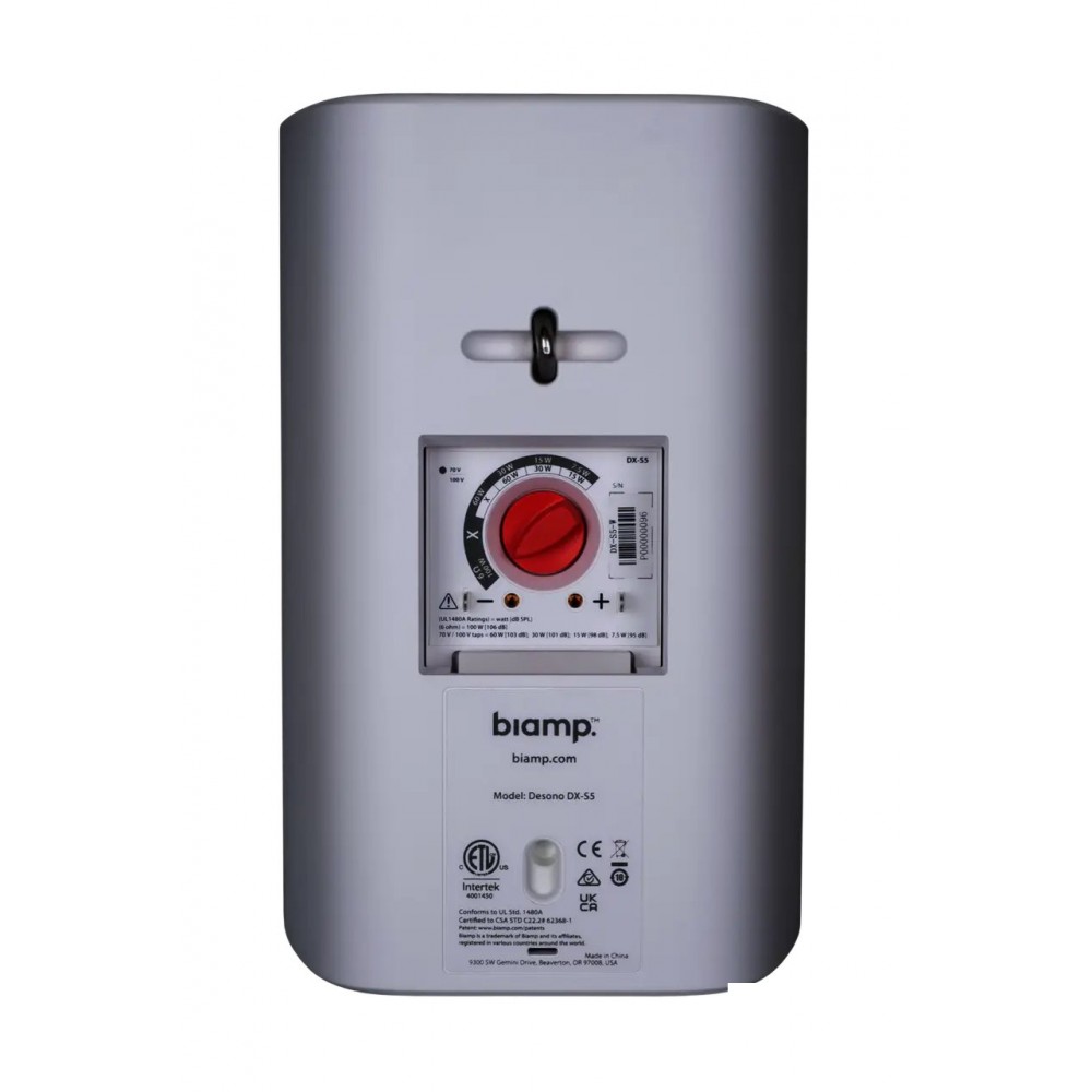 Desono DX-S5-UB-W APART Настінна акустична система