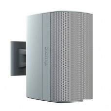 Desono DX-S8-W APART Настінна акустична система