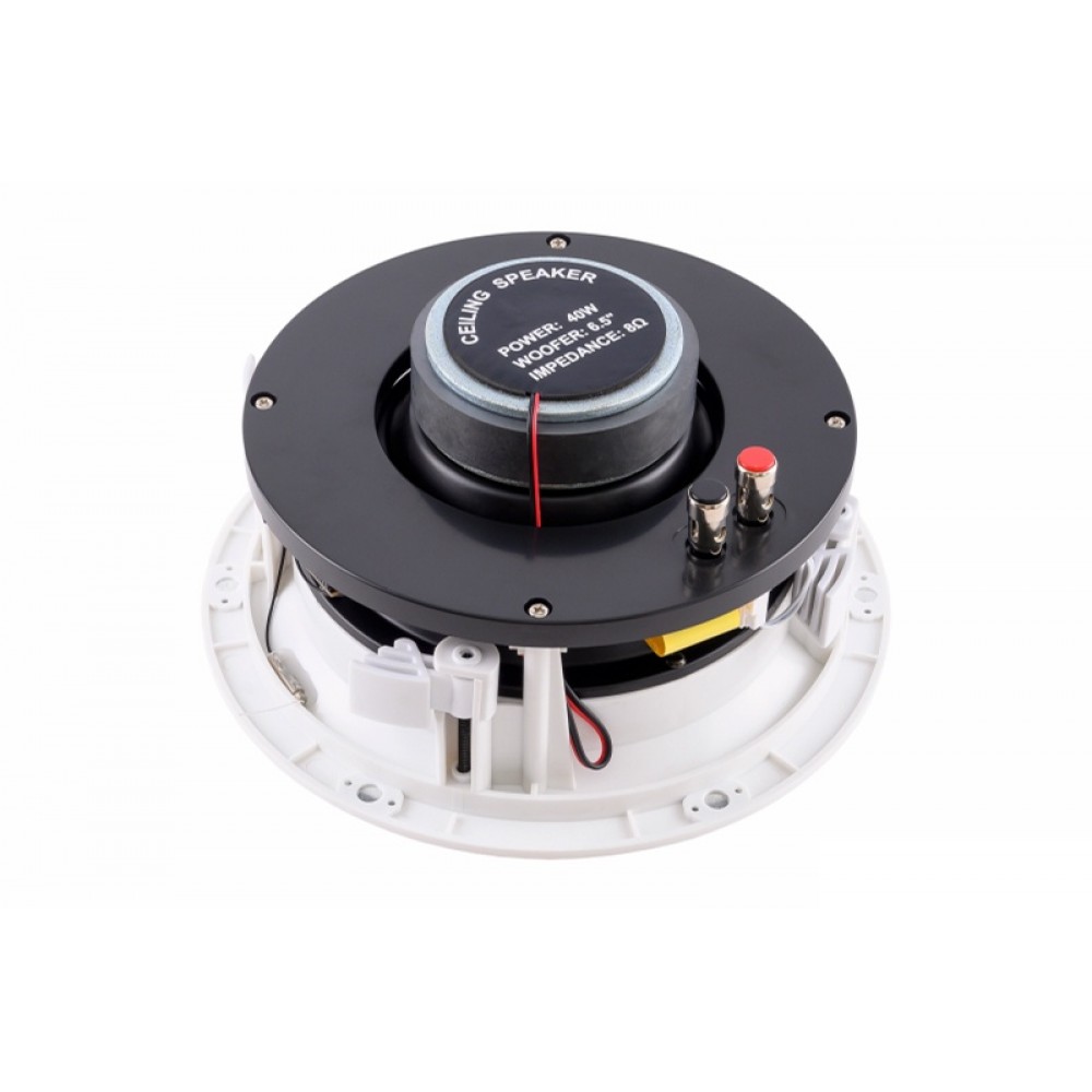 FLC-6 ACTIVE+BT+Wi-Fi SKY SOUND Потолочная акустическая система