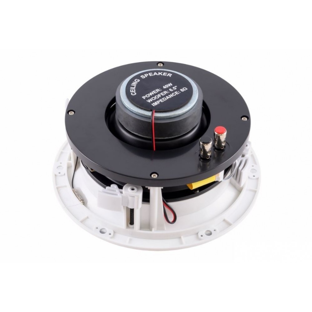 FLC-755+BT+WI-FI SKY SOUND Потолочная акустическая система