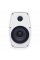MC-50W/TW SKY SOUND Настенная акустическая система