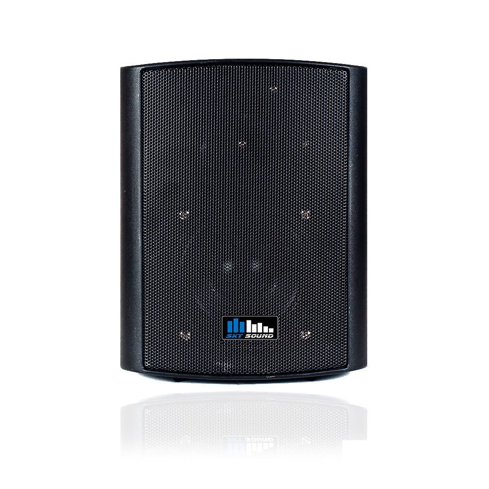 NS-30B SKY SOUND Настенная акустическая система