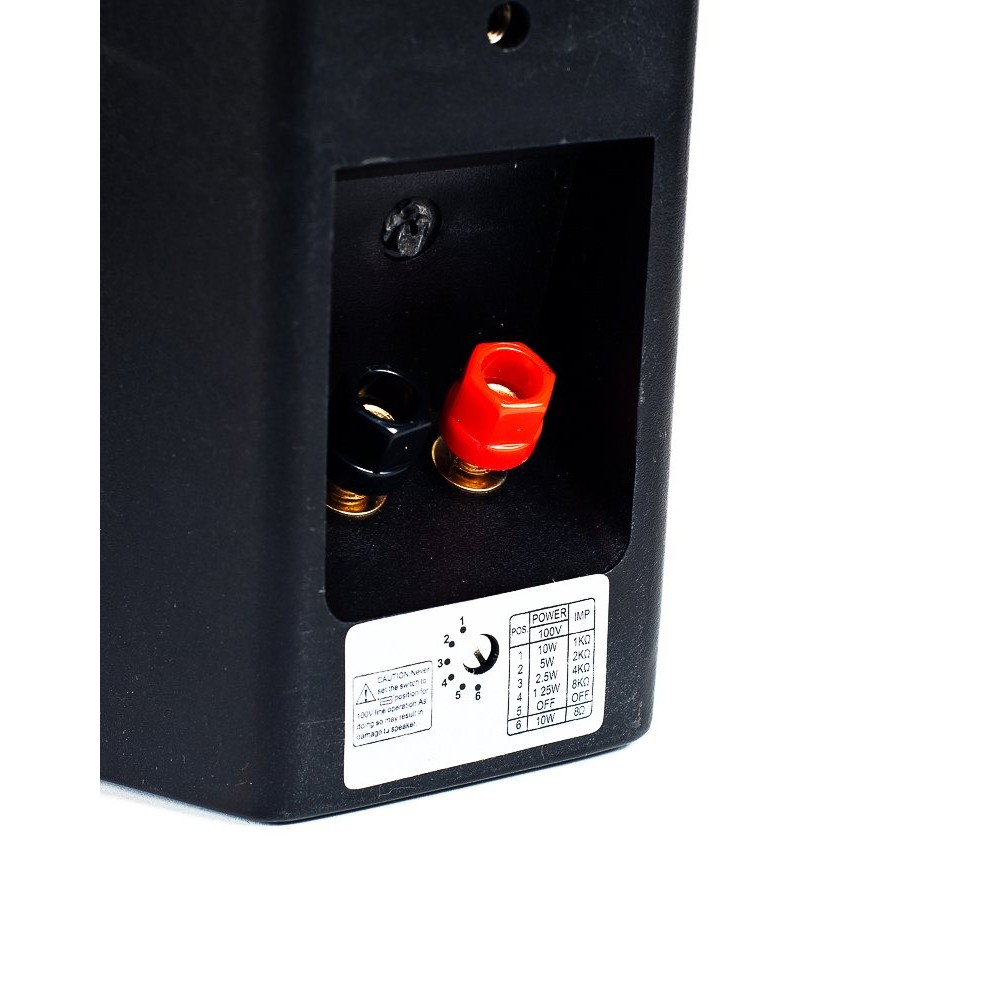 NS-30B SKY SOUND Настенная акустическая система