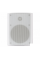 NS-30W/TW SKY SOUND Настенная акустическая система