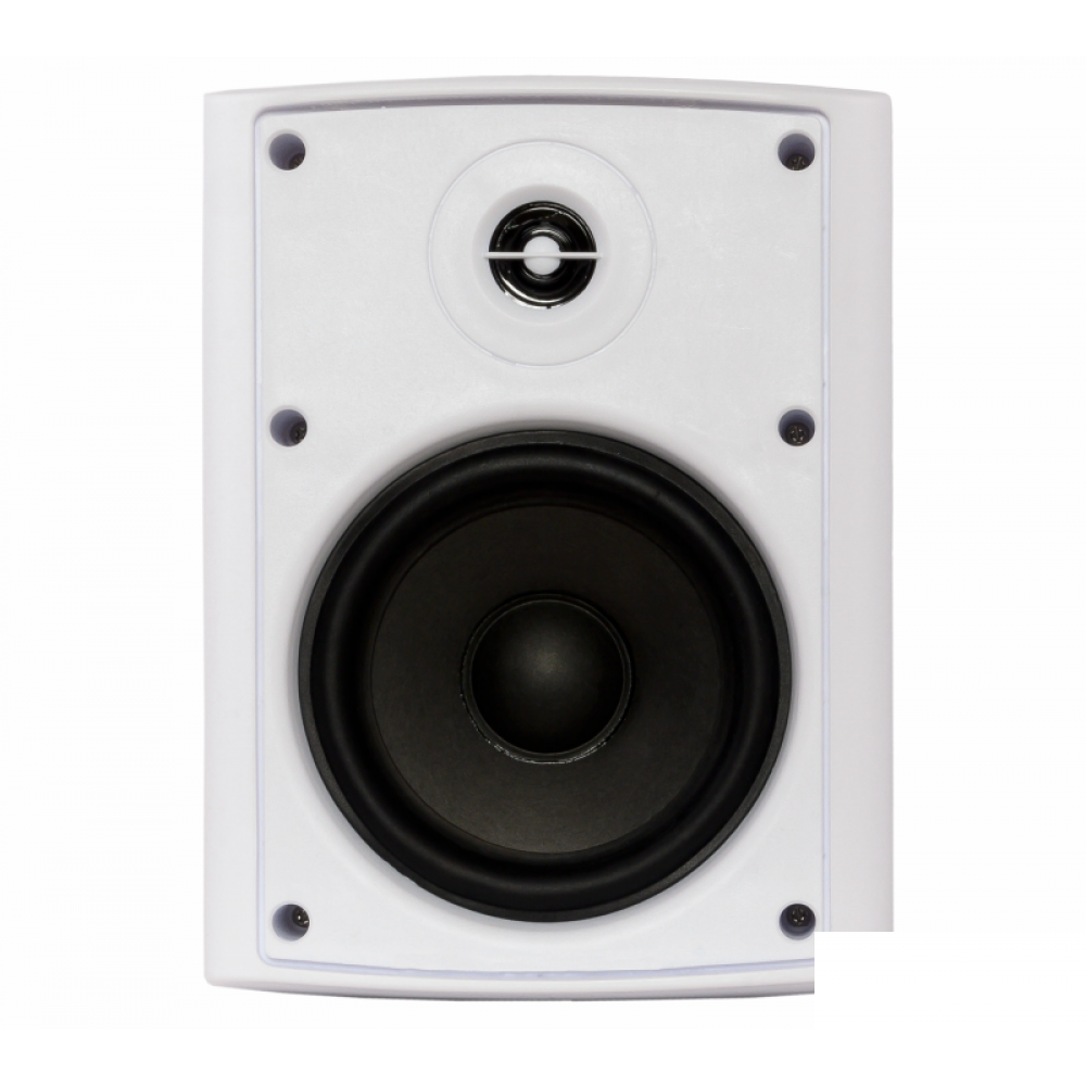 NS-30W/TW SKY SOUND Настенная акустическая система