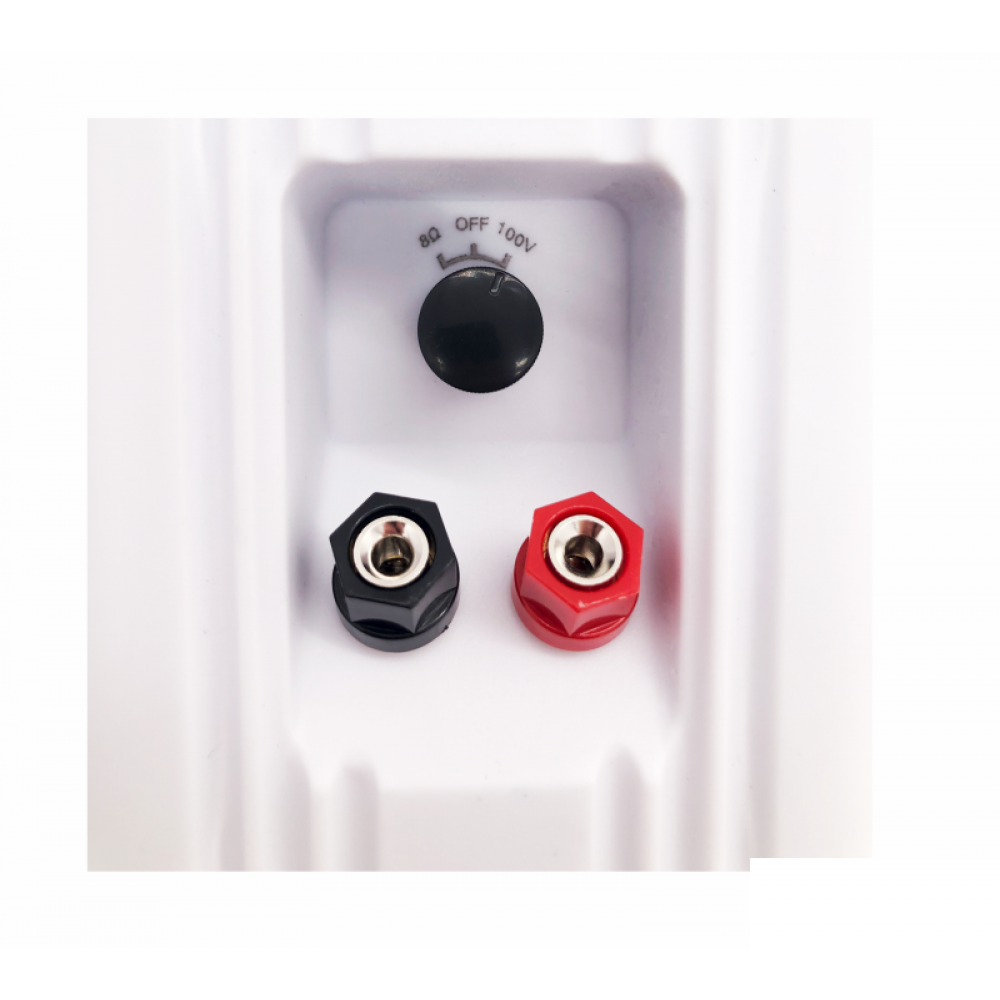 NS-40W SKY SOUND Настенная акустическая система