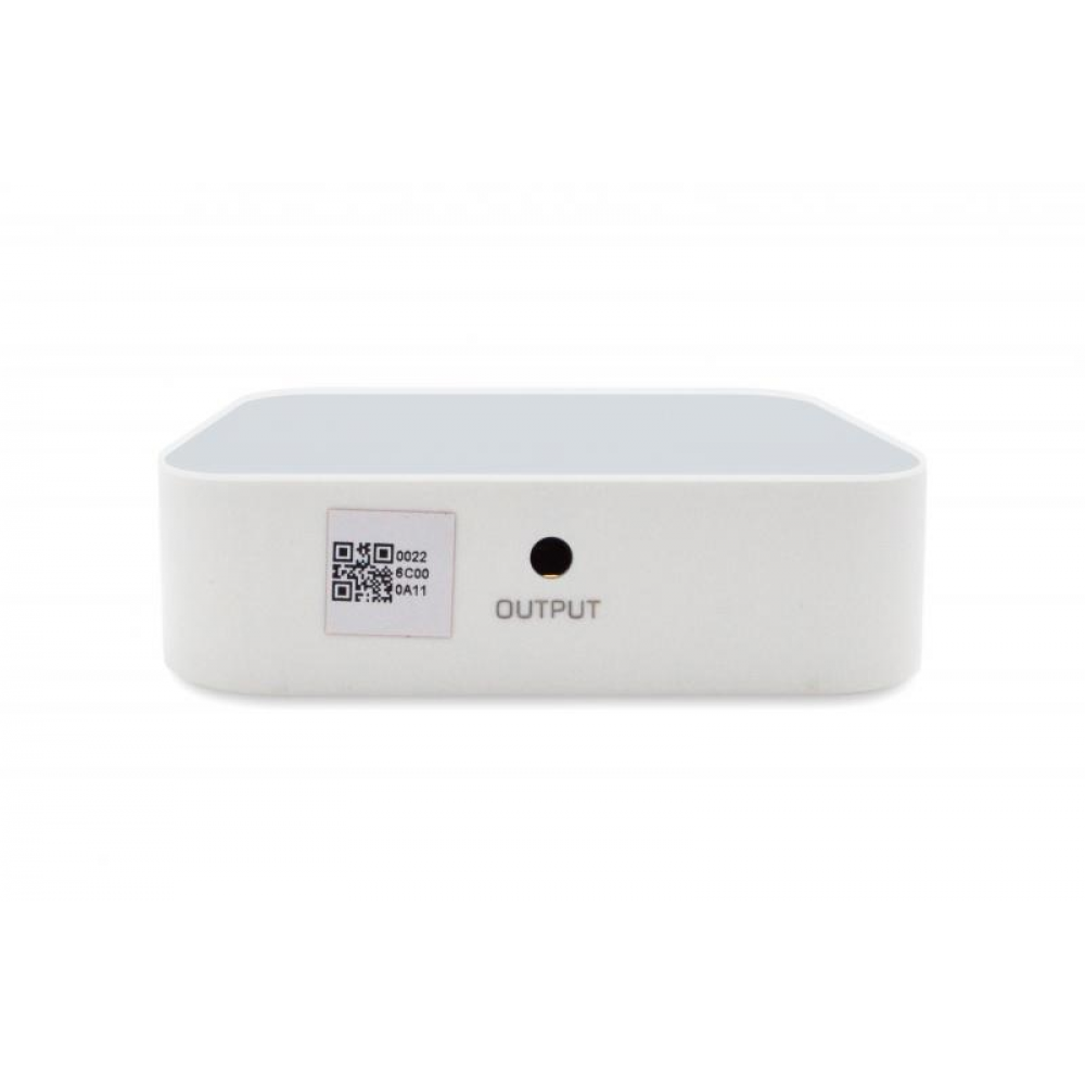 WIRELESS SUB 10 White SKY SOUND комплект фонового звука