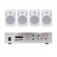 WS-2404 SKY SOUND комплект фонового звуку