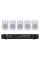 WS-2405 WHITE SKY SOUND комплект фонового звука