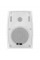 PB-4.2T IP White DV AUDIO Настінна всепогодна акустична система