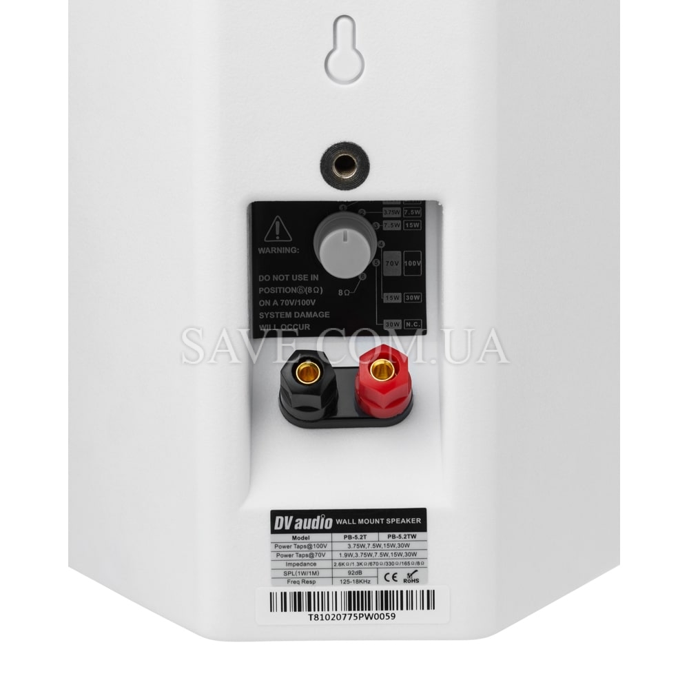 PB-5.2TW DV AUDIO Настінна акустична система
