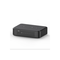 Arylic S10+ DV AUDIO сетевой медиаплеер с Wi-Fi