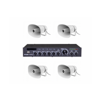 DMA1204HS30 DV AUDIO комплект фонового звука