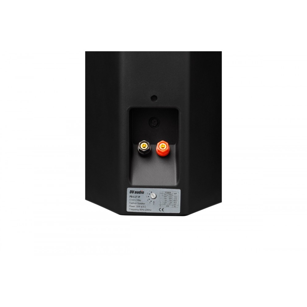MA302PB5B DV AUDIO комплект фонового звуку