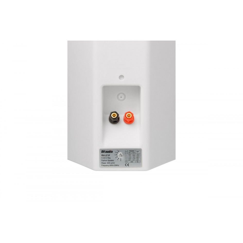 MA302PB5W DV AUDIO комплект фонового звуку