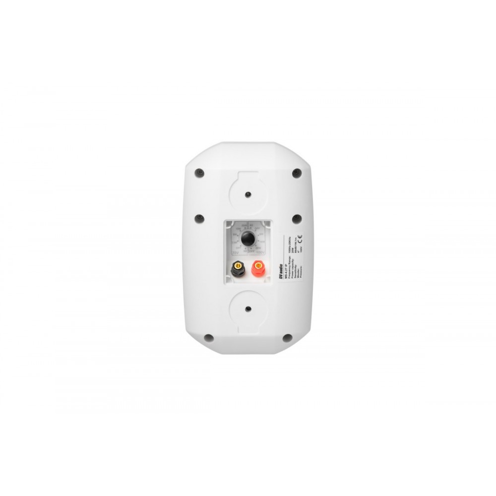 MS-4.2T IP White DV AUDIO настенная акустическая система
