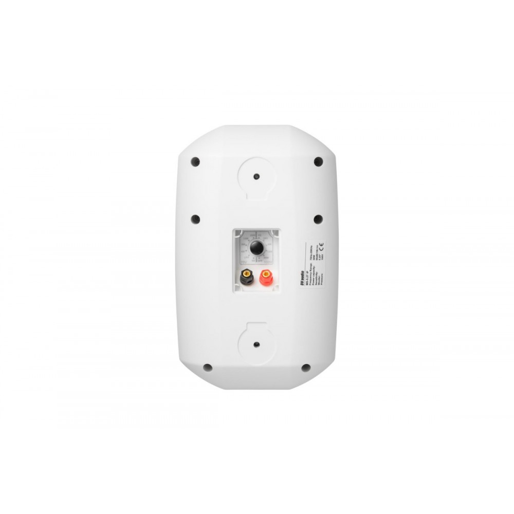 MS-5.2T IP White DV AUDIO настенная акустическая система