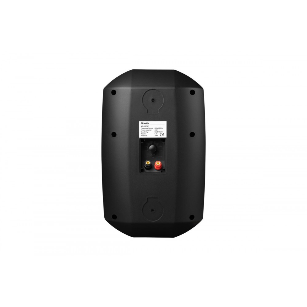 MS-6.2T IP Black DV AUDIO настенная акустическая система