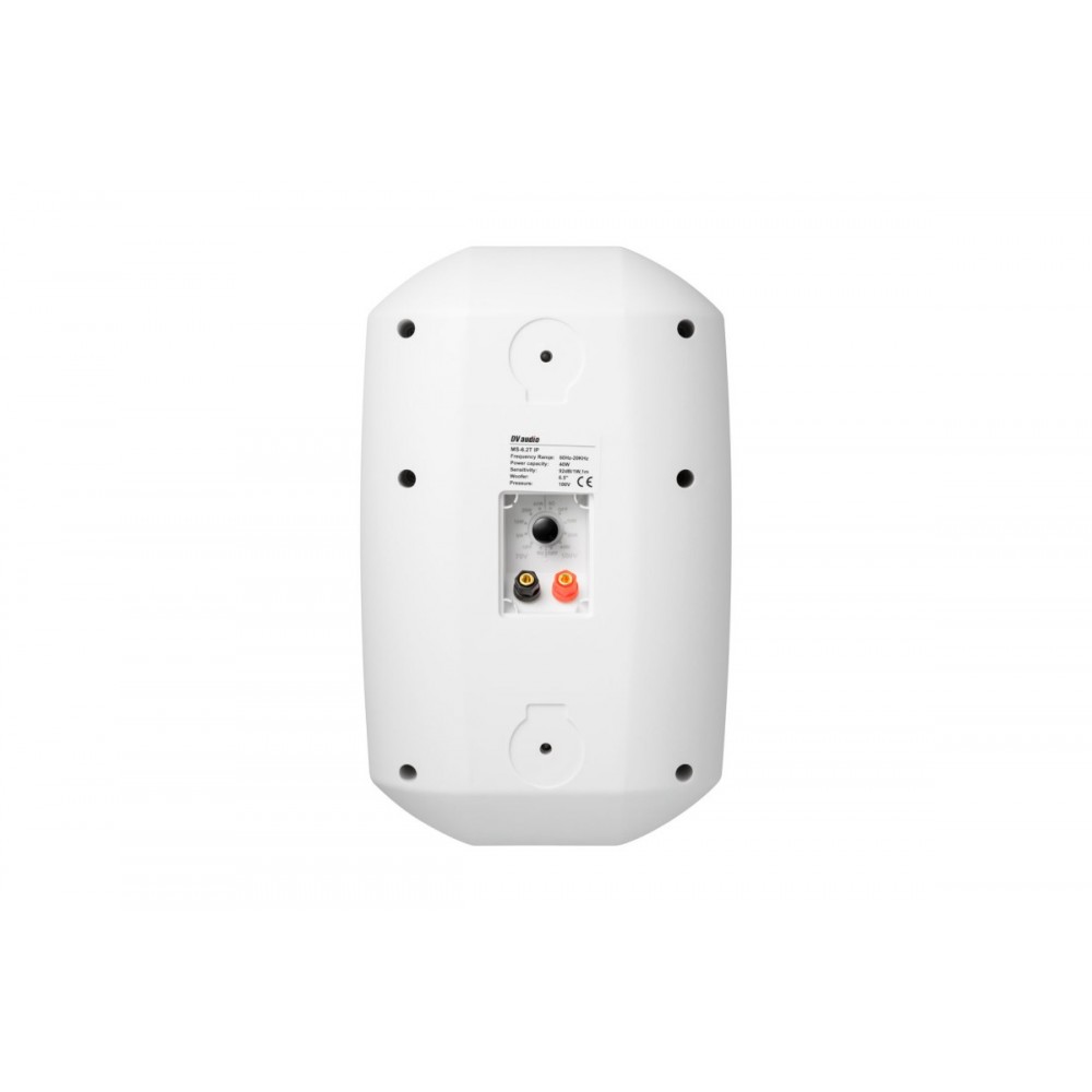 MS-6.2T IP White DV AUDIO настенная акустическая система