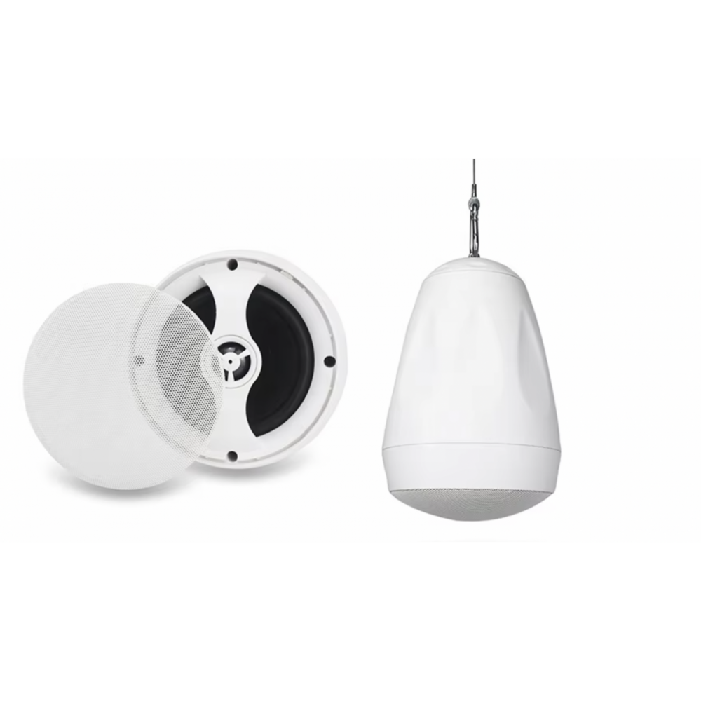 PS-422TW DV AUDIO подвесная акустическая система