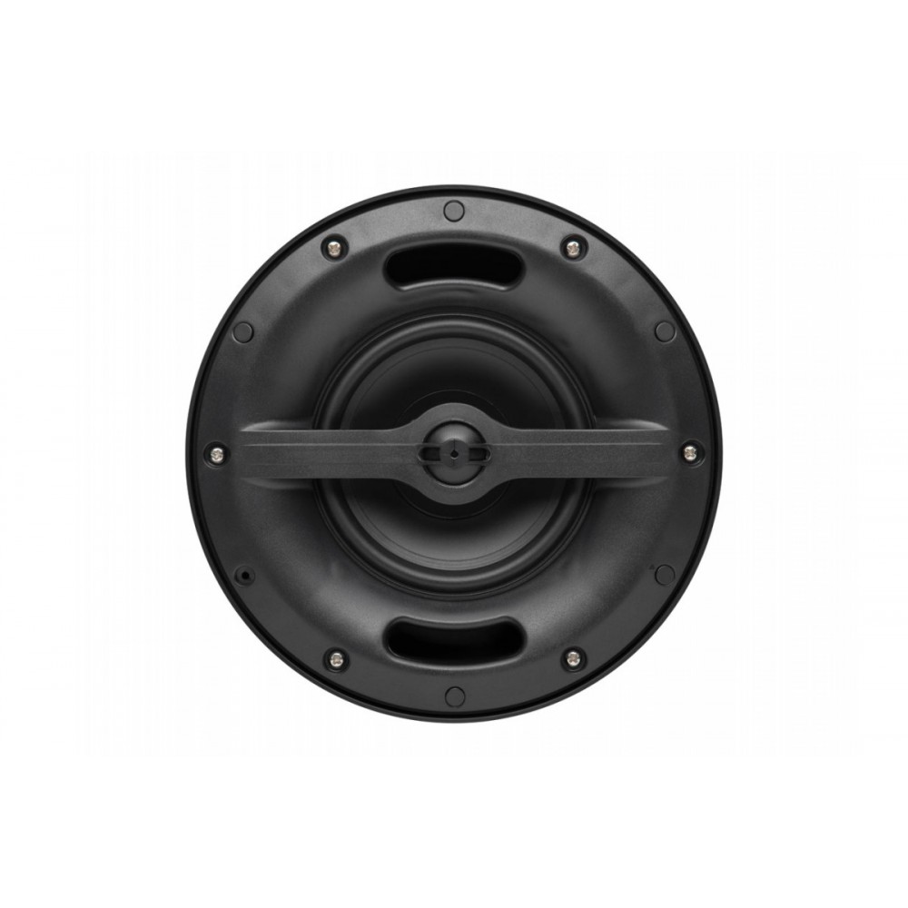 PS-502TB DV AUDIO подвесная акустическая система