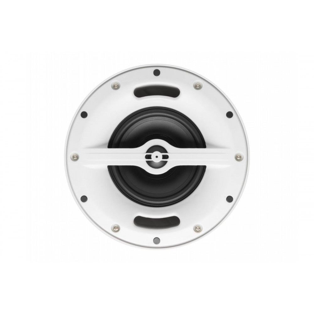 PS-502TW DV AUDIO подвесная акустическая система