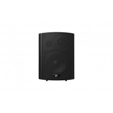 WM-422TB DV AUDIO настенная акустическая система