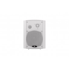 WM-422TW DV AUDIO настенная акустическая система