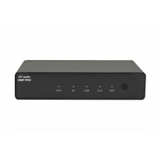 WMP PRO DV AUDIO сетевой медиаплеер с Wi-Fi